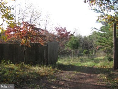 0 Spring Gap Rd unit 1004622236, Slanesville, WV 25444 - photo 7