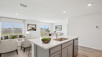 3021 Pink Gerbera Square, Plant City, FL 33566 - photo 2