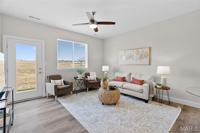 897 Walter Way, Washington, MO 63090 - photo 4