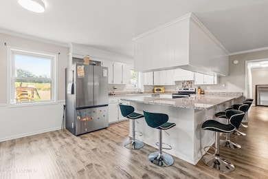 1055 Eddie Ray Rd, Breaux Bridge, LA 70517 - photo 3