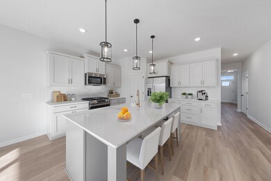 1290 149th St W, Rosemount, MN 55068 - photo 3