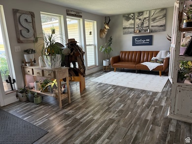 Living room featuring wood finished floors and a textured ceiling