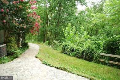 562 Osprey Ln, Front Royal, VA 22630 - photo 5