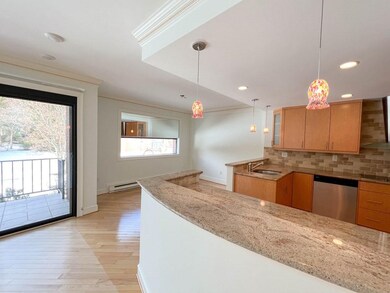 Wellesley Green Condominiums unit 210, Wellesley, MA 02482 - photo 3