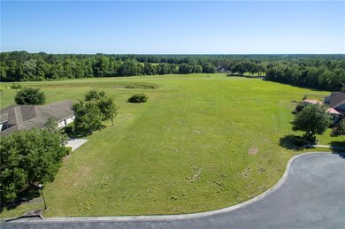 34050 Triple Crown Ct, Dade City, FL 33525 - photo 4