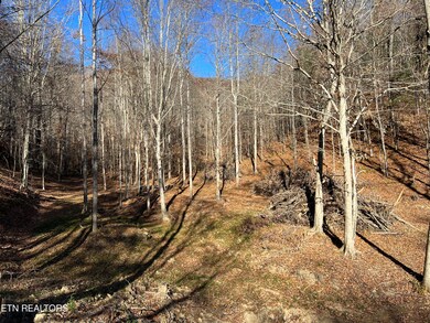 STANLEY CREEK 1