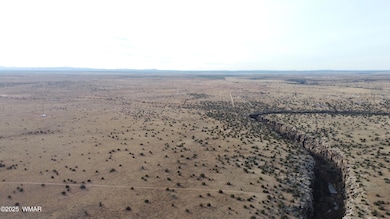 DJI_0095