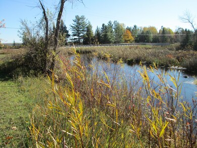 Mullett Lake Creek