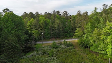 View of woods
