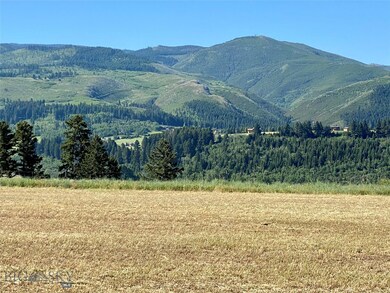 South view from western fence line.