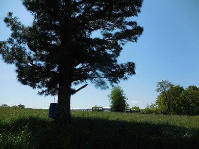 13366 Green Rd, West Fork, AR 72774 - photo 5