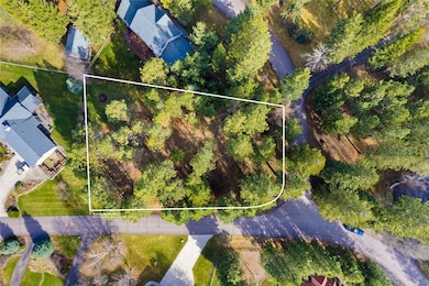 Lot Lines & tree count