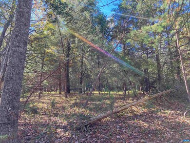 7022 Thomas Jefferson Pkwy, Palmyra, VA 22963 - photo 7