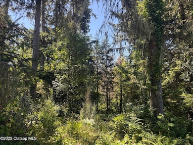 0 Whiskey Rd, Warrenton, OR 97146 - photo 4