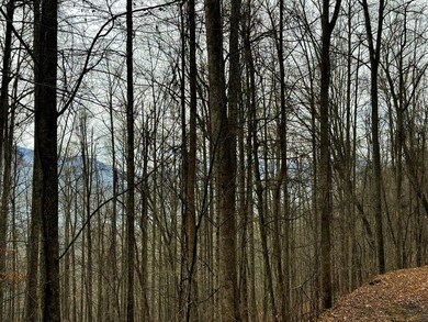 unlisted-address, Barkers Creek, NC 28789 - photo 7