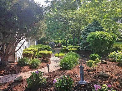 Yard/Garden.