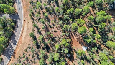 1302 N Karen Way, Payson, AZ 85541 - photo 5