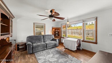 10528 Thorngrove Pike, Strawberry Plains, TN 37871 - photo 5