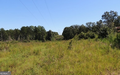 57+/- AC Victory Rd, Franklin, GA 30217 - photo 2