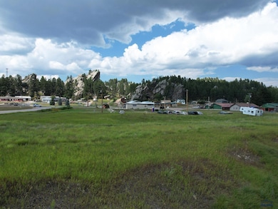 TBD Wazi Ln unit Just of Hwy 16W, Custer, SD 57730 - photo 7