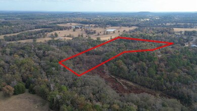 292 Sorrell Rd, Gilmer, TX 75645 - photo 4