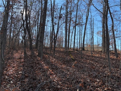 0 Egton Dr unit 1330074, Bella Vista, AR 72714 - photo 5