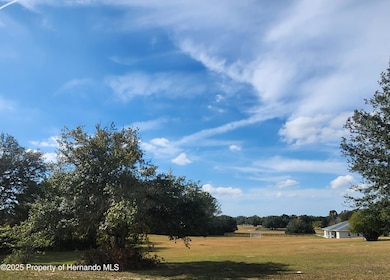 832 E Dunbar Ln, Hernando, FL 34442 - photo 2