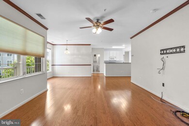 5004 Willow Branch Way, Owings Mills, MD 21117 - photo 5