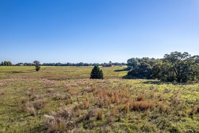 000 County Road 4331, Larue, TX 75770 - photo 5