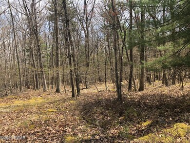 838 Muldovan Dr, Lackawaxen Township, PA 18428 - photo 5