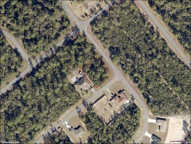 TBD SW 168th Loop unit Lot 1, Ocala, FL 34473 - photo 2