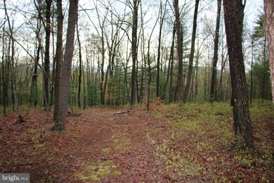 0 Jerome Rd unit VASH2001484, Mount Jackson, VA 22842 - photo 4