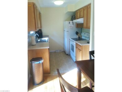 1500 Hilton Dr, Akron, OH 44313 - photo 6