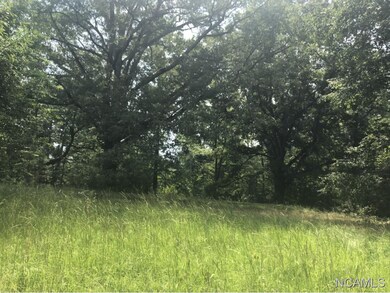 8346 Cedar Mountain Rd, Pinson, AL 35126 - photo 7