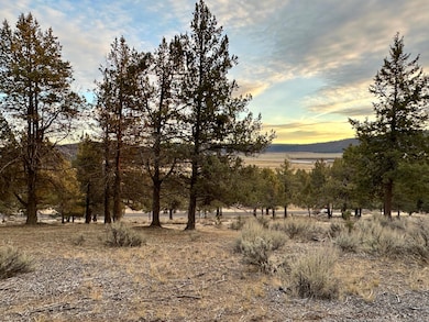 0 Murrelet unit Lot 1192 220174096, Klamath Falls, OR 97601 - photo 6