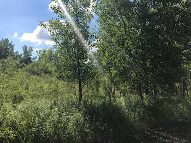 5593E24E-C3DB-4E4F-9ED4-D3ED27CAA080