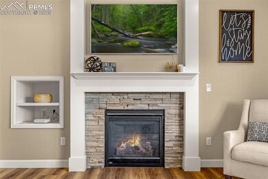 4373 Desert Canyon Trail, Colorado Springs, CO 80922 - photo 5