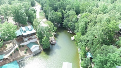 465 Jeans Way, Wedowee, AL 36278 - photo 3