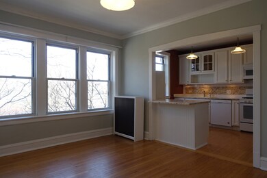 4857 N Hoyne Ave unit 3N, Chicago, IL 60625 - photo 4