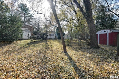 203 Lincoln Ave, Owaneco, IL 62555 - photo 5