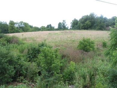 1100 Alexandria Dr, Lawrenceburg, KY 40342 - photo 3