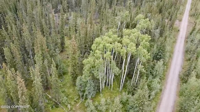 1327.6 B5 Alaska Hwy, Tok, AK 99780 - photo 5