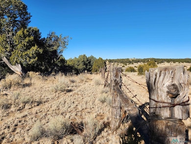 TBD Ponderosa Ranches Trail, Pie Town, NM 87827 - photo 2