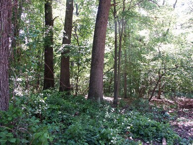 402 Dreamwold Way, Michiana Shores, IN 46360 - photo 3