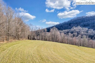 TBD Old Buffalo Trail, Boone, NC 28607 - photo 2