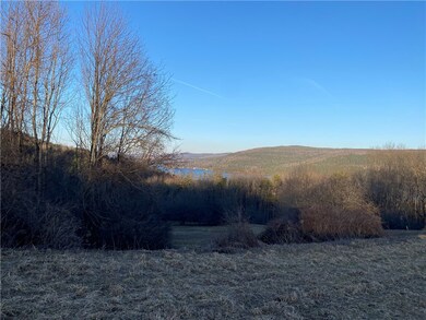 Lake views in the distance.