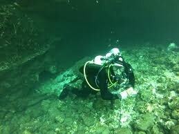 Diving is internationally renowned at Blue Springs