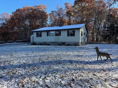 2512 S Sportsman Dr, White Cloud, MI 49349 - photo 3