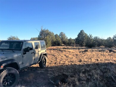 41 N Honeysuckle Rd, Ash Fork, AZ 86320 - photo 2