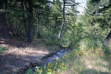 Private trail to Rock Creek
